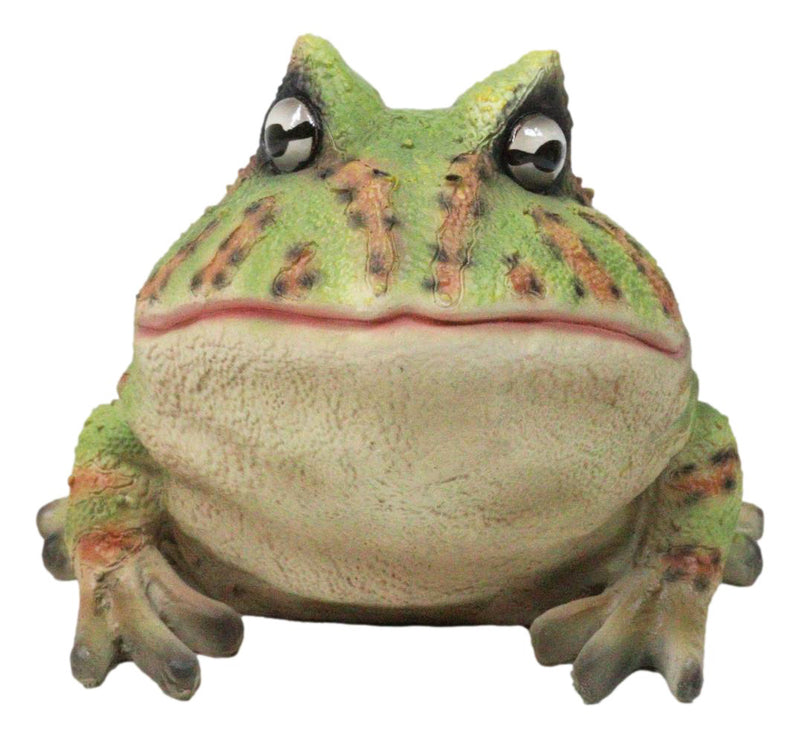 Amphibian Wildlife Realistic Green Bullfrog Frog In Stoic Posture Figurine 7"L