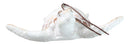 Set Of 6 Antique White Sea Turtles Ocean Marine Wall Hanger Decor Tree Ornaments