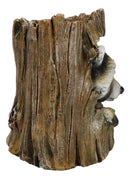 Rustic Western Lifelike Gray Raccoon Hiding In Tree Trunk Decorative Figurine