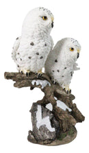 12-Inch Snowy Winter Spotted Owl Couple Figurine on Snow-Covered Tree Branch