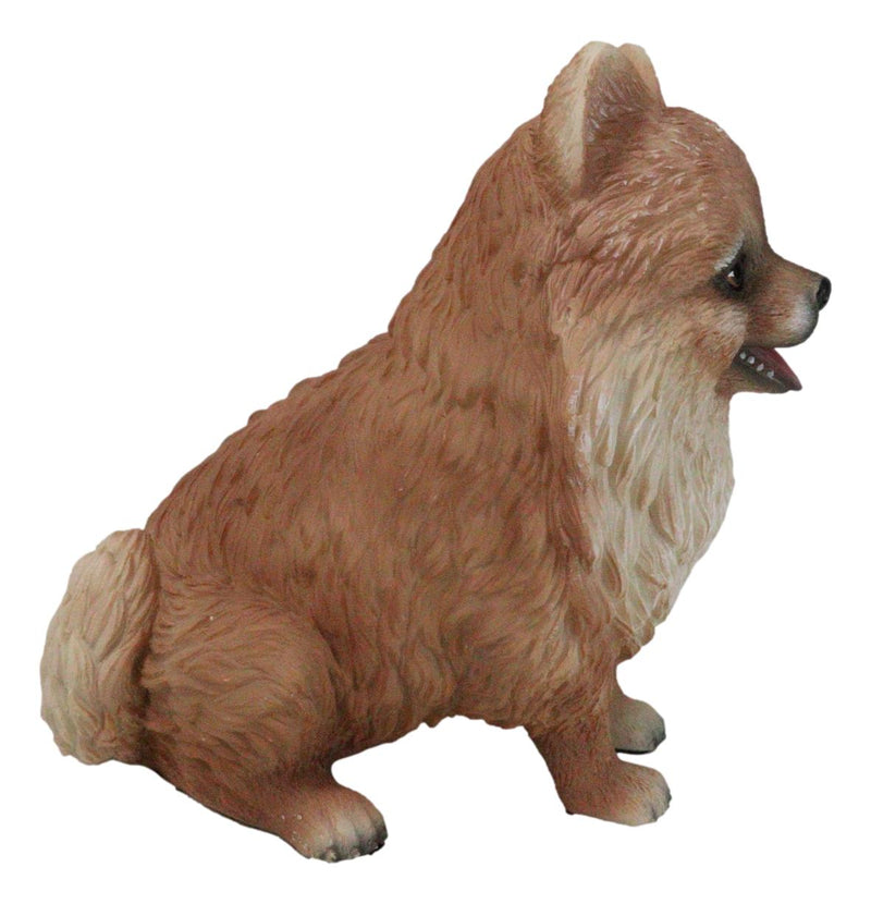 Lifelike Adorable Pet Pal Sitting Pomeranian Spitz Puppy Dog Figurine 6"H