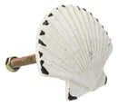 Set Of 6 Distressed White Marine Seashell Clam Brass Cabinet Door Pull Knobs
