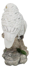 Tundra Forest Snow White Owls Couple Perching On Tree Branch Figurine 4.75"H