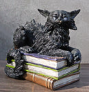Witching Hour Mystical Black Cat With LED Eyes On Witchcraft Books Figurine