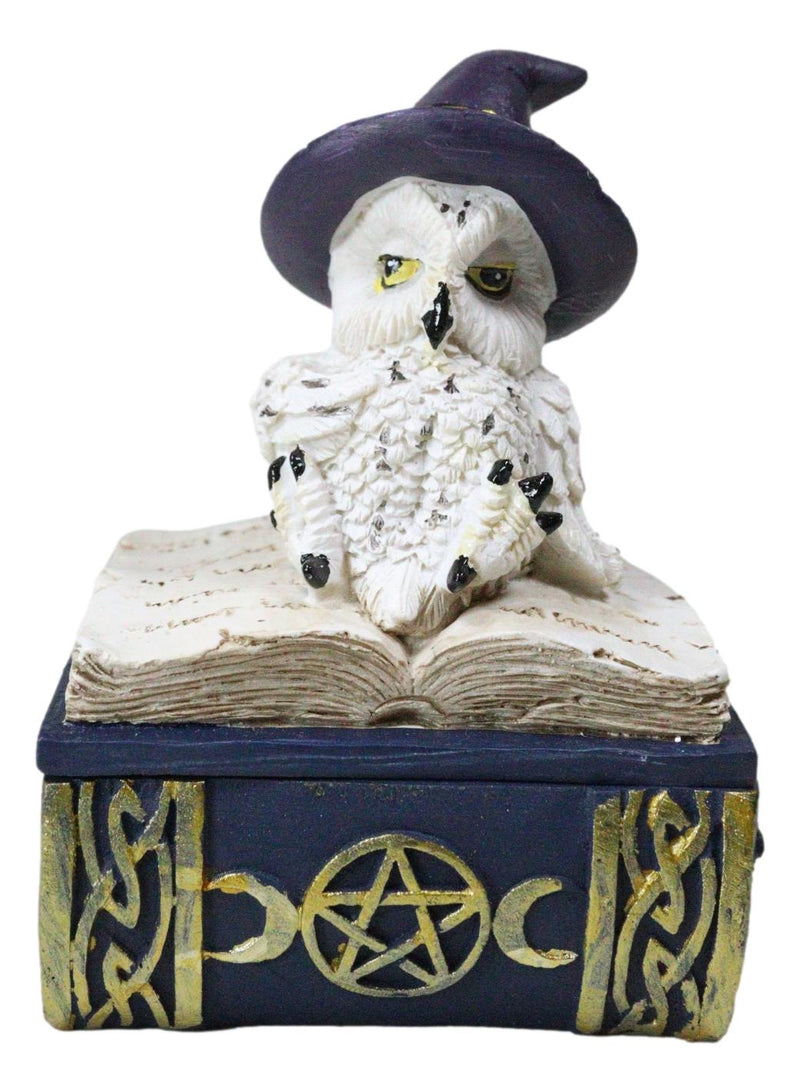 White Snow Owl With Witch Hat Resting On Triple Moon Blue Spell Book Trinket Box