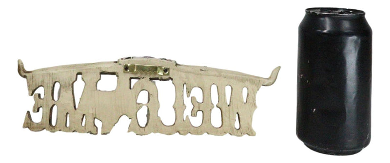 Rustic Western Bone Finish Texas Longhorn Texas Lone Star Welcome Wall Decor