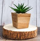 Pack Of 6 Unfinished Natural Wood Slices With Bark 6.25"D DIY Arts And Crafts