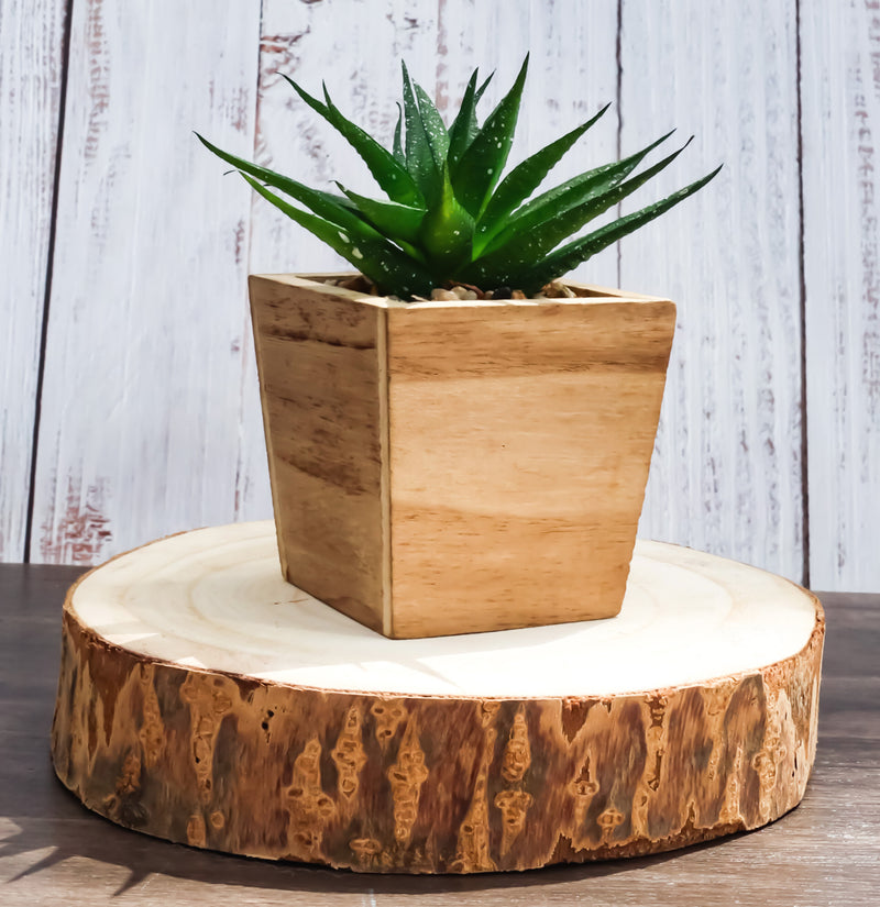 Pack Of 6 Unfinished Natural Wood Slices With Bark 6.25"D DIY Arts And Crafts