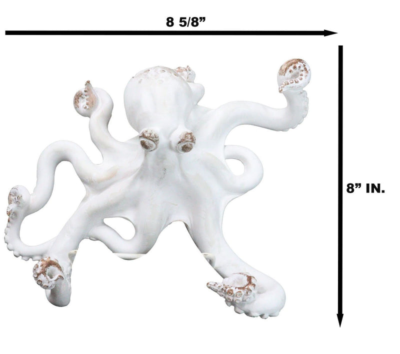 Nautical Marine Antique White Giant Octopus Multi Point Tentacles Wall Hooks