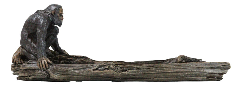 Forest Mythical Creature Sasquatch Big Foot Cryptid Ape Incense Burner Figurine