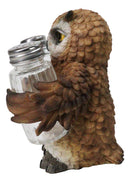 Brown Great Horned Owl Salt and Pepper Shaker Holder Set with Glass Shakers