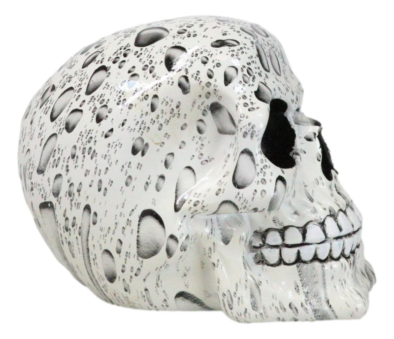 Day of The Dead Raindrops Water Droplets Scene Gothic Skull Figurine Skeleton