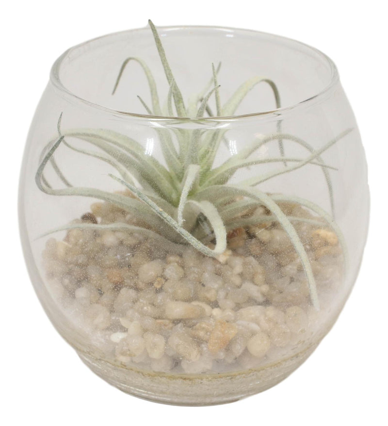 artificial succulents in glass containers Set Of 6 Realistic Artificial Botanica Succulents Plants In Round Glas– Ebros Gift