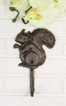Pack Of 2 Cast Iron Rustic Whimsical Tree Squirrel Chipmunk with Acorn Wall Hook