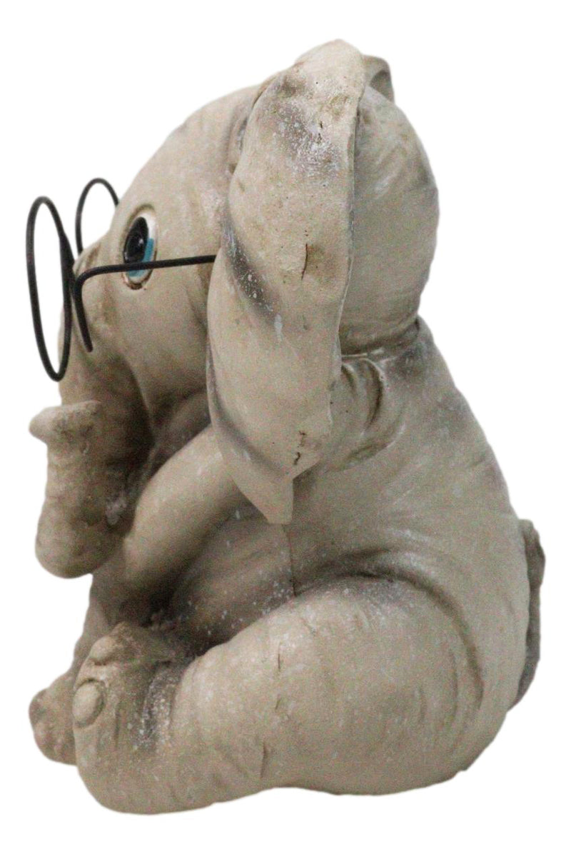 Safari African Savanna Whimsical Elephant Young Calf Wearing Glasses Figurine