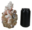 Marine Sea Explorer The Great Barrier Coral Reef Shells And Rocks Skull Figurine
