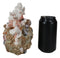 Marine Sea Explorer The Great Barrier Coral Reef Shells And Rocks Skull Figurine