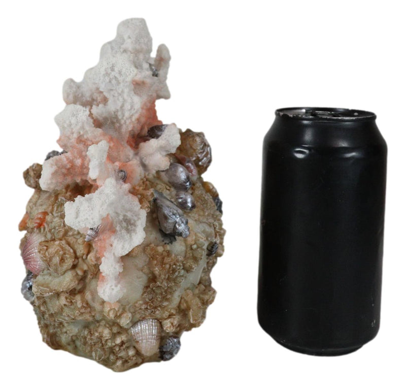 Marine Sea Explorer The Great Barrier Coral Reef Shells And Rocks Skull Figurine