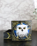 Snowy Owl Trinket Box, 5 x 5 Inch Decorative Keepsake Box with Celtic Knotwork