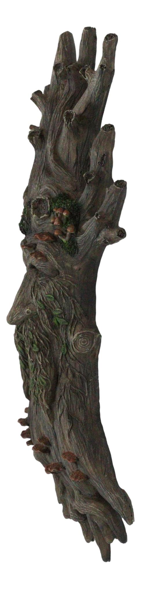 Wiccan Celtic Tree Ent Greenman Tree Man With Bracket Fungi Wall Decor Plaque