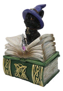 Mystical Black Cat with Witch Hat On Green Book of Spells Small Trinket Box