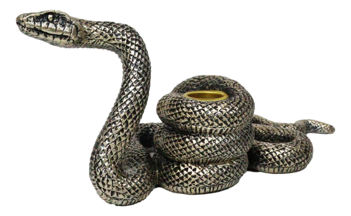 Witchcraft Sorcery Dark Magic Coiled Serpent Snake Taper Candleholder Figurine
