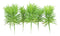 Pack Of 6 Realistic Lifelike Artificial Green Pine Stem Filler Botanicas 10"H