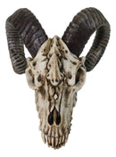 The Beast of Endragon Elder Dragon Head Skull with Ram Horns Figurine 7.5"L