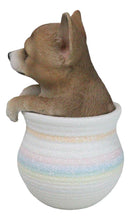 Pet Taco Chihuahua Teacup Puppy Dog Figurine With Glass Eyes Pup In Pot