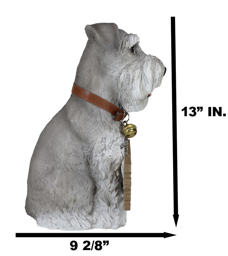 Adorable Grey Schnauzer Dog Sitting With Jingle Collar Greetings Sign Statue