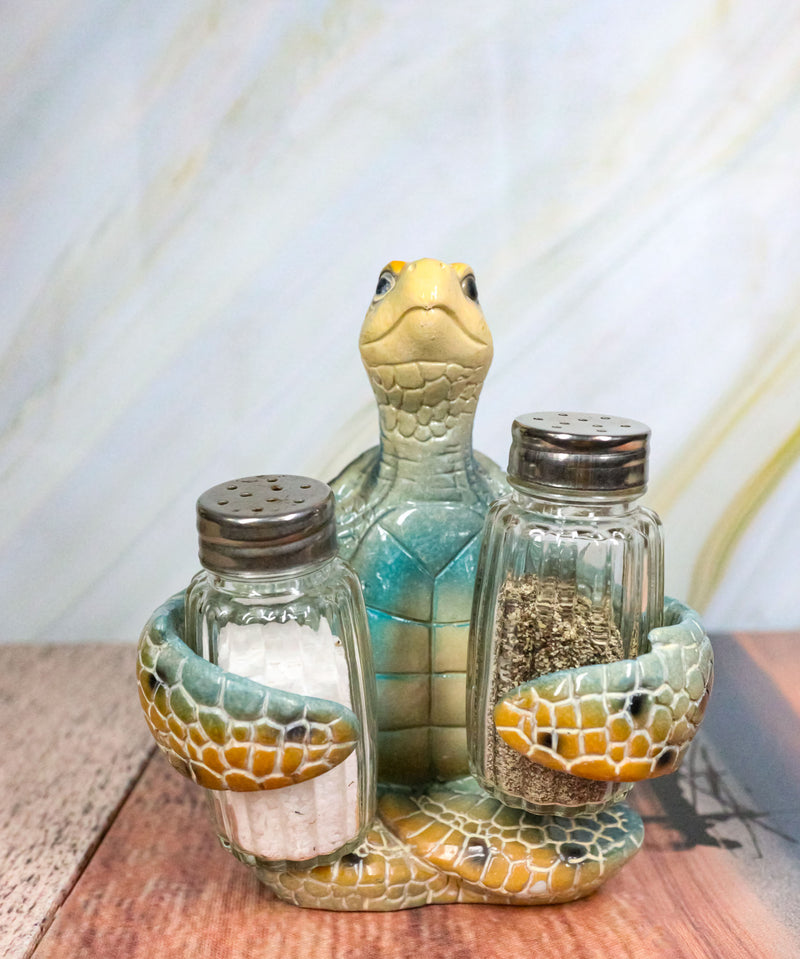 Nautical Marine Blue Giant Sea Turtle Hugging Salt And Pepper Shakers Holder Set