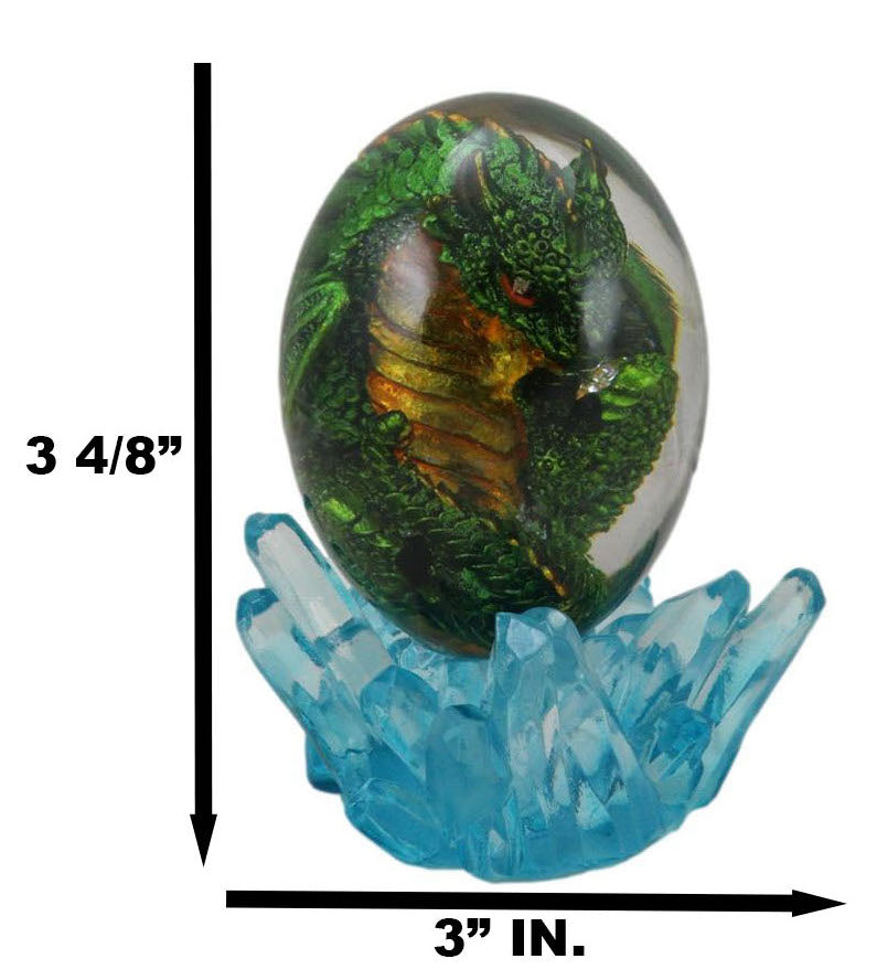 Green Fossil Dragon Hatchling Sleeping in Crystal Acrylic Glass Egg Figurine