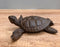 Rustic Cast Iron Sea Turtle Decorative Secret Key Concealer Trinket Box Figurine
