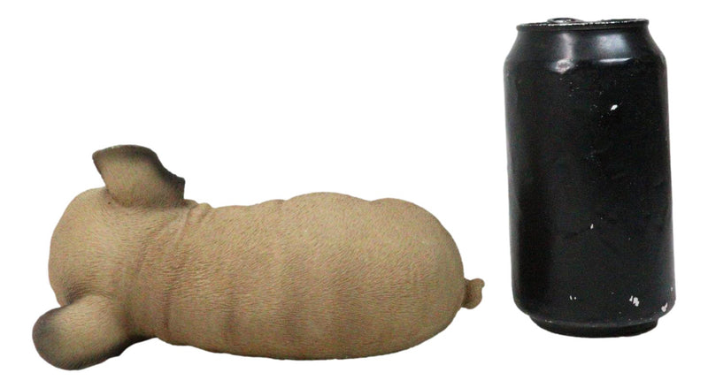 Realistic Adorable French Bulldog Dog Puppy Sleeping Figurine 6.75"Long