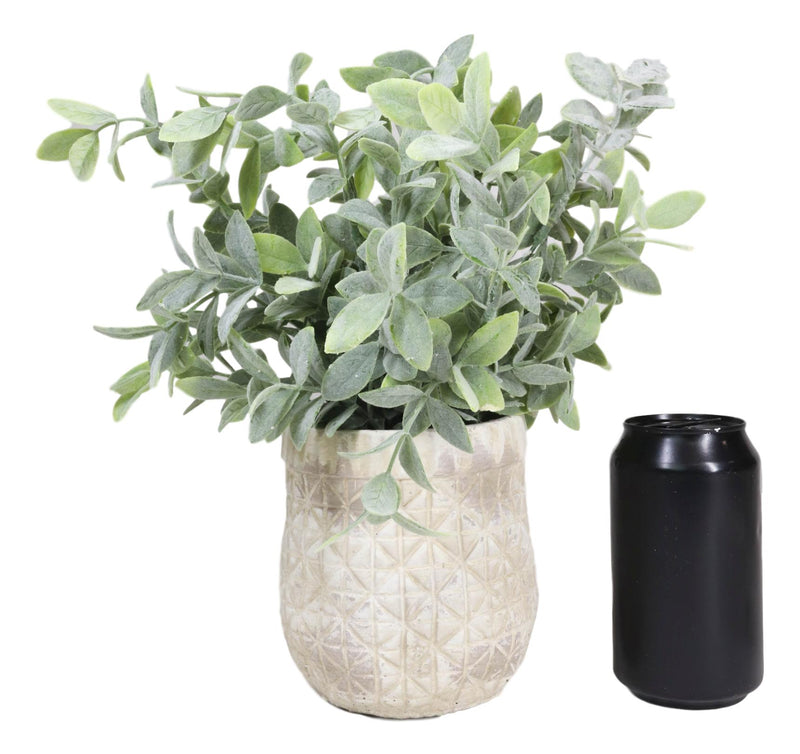 Realistic Artificial Botanica Sage Bush Faux Plant Fern In Patterned Pot 10"H