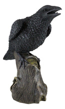 Ebros Large 14" Long Gothic Raven Crow Perching On Tree Stump Statue Figurine