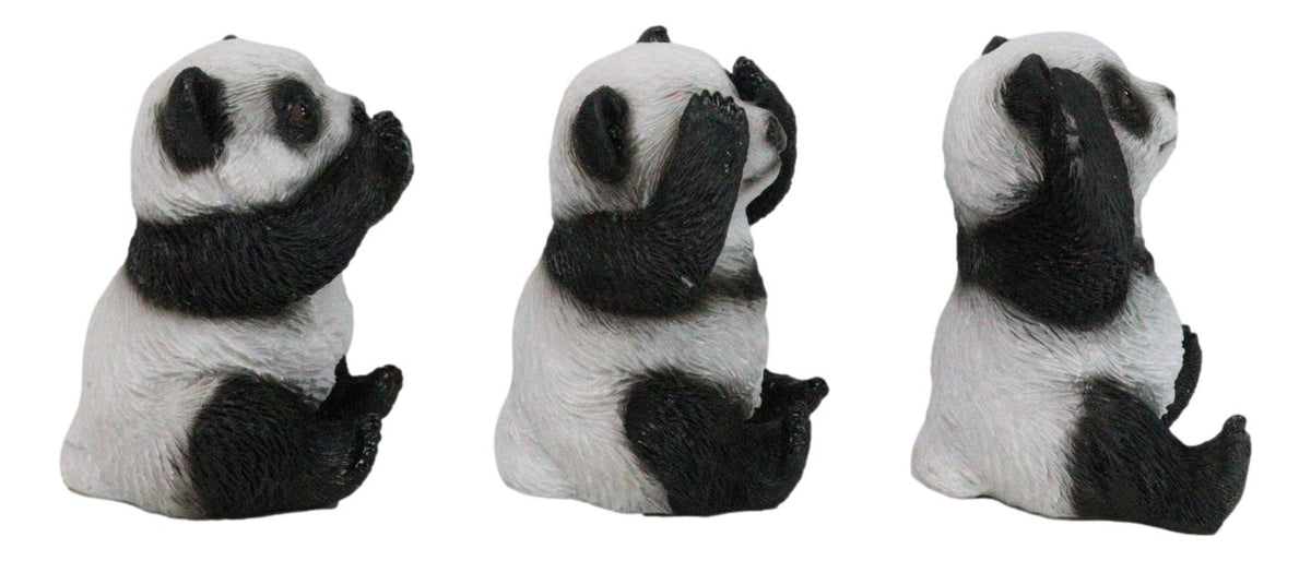 Set Of 3 See Hear Speak No Evil Whimsical Giant Panda Bears Mini Figurines - Ebros Gift