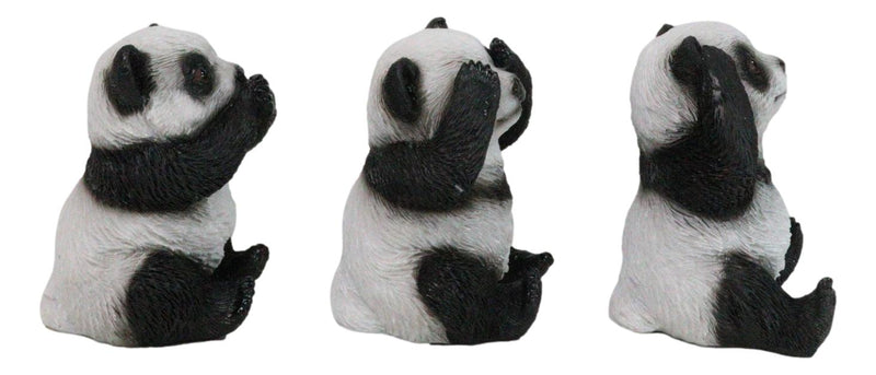 Set Of 3 See Hear Speak No Evil Whimsical Giant Panda Bears Mini Figurines