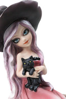 Gothic Beautiful Witch In Pink Dress And Magical Hat Holding Black Cat Figurine