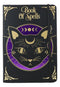 Mystic Mog Cat Book Of Spells Lined Pages Journal Book With Bookmark And Cord