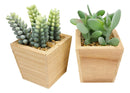 Set of 4 Realistic Artificial Botanica Green Succulents In Wooden Pots 4.75"H