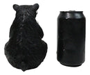 Rustic Forest Western Bookworm Black Bear with Glasses Reading Book Figurine