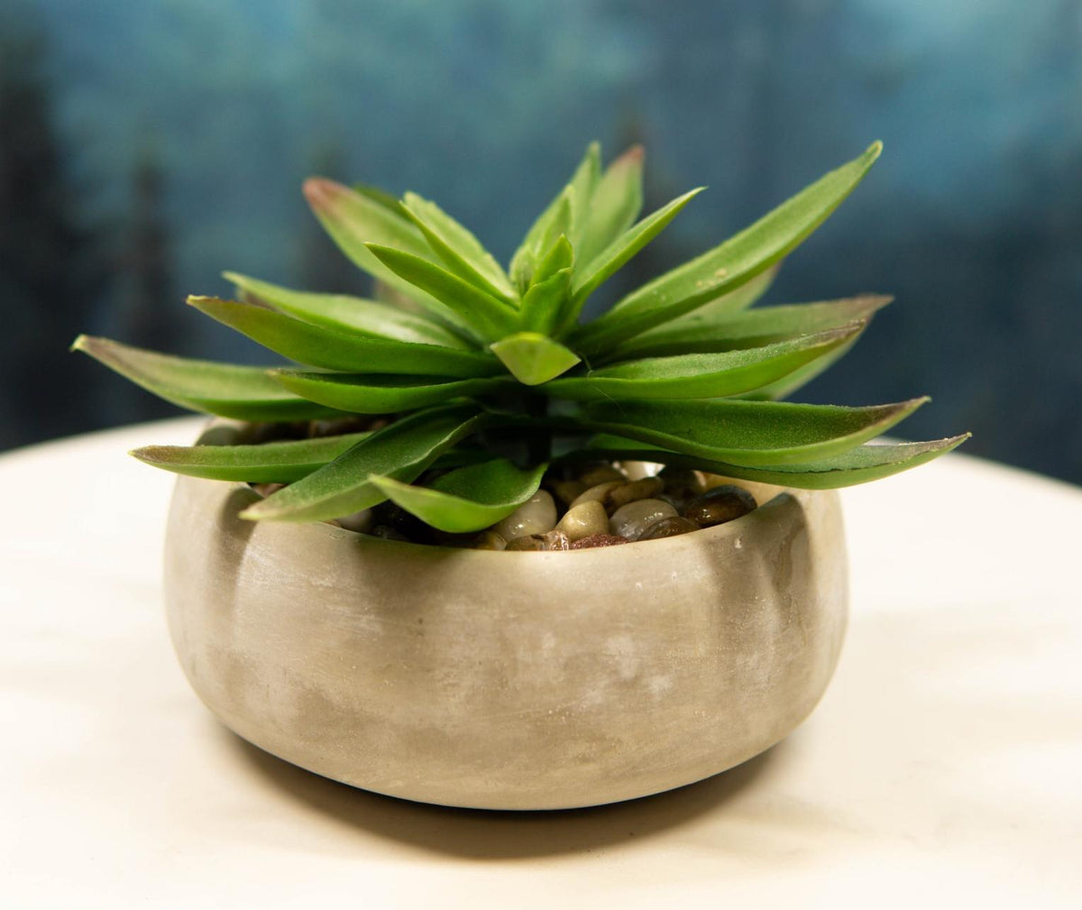 Set of 4 Realistic Artificial Botanica Plants Succulents in Cement Pot 7"Dia