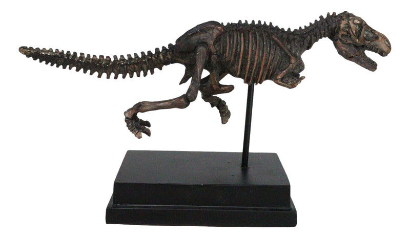 Jurassic T-Rex Tyrannosaurus Rex Dinosaur Fossil Skeleton Statue On Base Stand