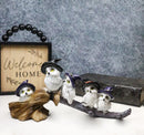 Halloween 5 Snow Owls and Owlets with Witch Hats Perching On Broomstick Figurine