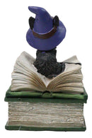 Mystical Black Cat with Witch Hat On Green Book of Spells Small Trinket Box