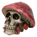 Red Macabre Toadstool Mushroom Cap Skull With Mini Fungi Figurine 5" L