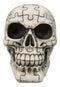 Ossuary Macabre Gothic Jointed Jigsaw Puzzle Cranium Skull Figurine 6"L