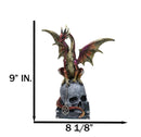 Metallic Red And Gold Dragon On Oversized Witch Skull With Pentagram Figurine