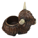 Rustic Western Scottish Highlands Cattle Cow Wine Holder Container Pot Holder 9"
